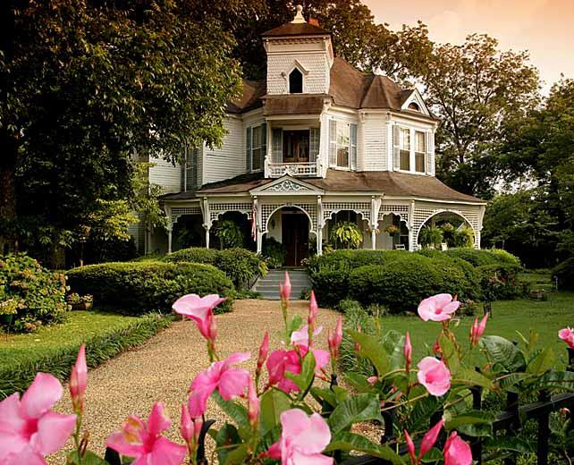 Cricket's House